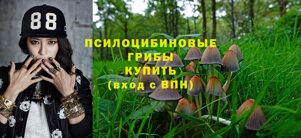 a pvp Абинск
