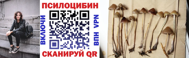 Галлюциногенные грибы GOLDEN TEACHER  Фатеж 